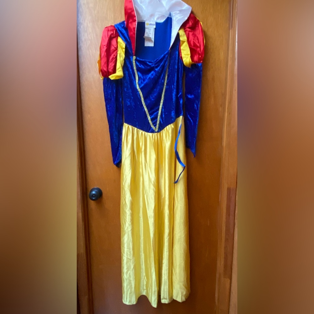 Snow White costume